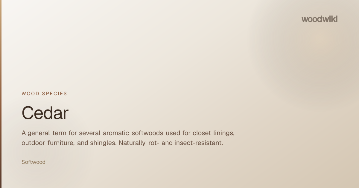 Cedar | Wood Species | Woodwiki